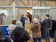 BP240223-75 - Unit Sixtyfour posing for photos in his stable